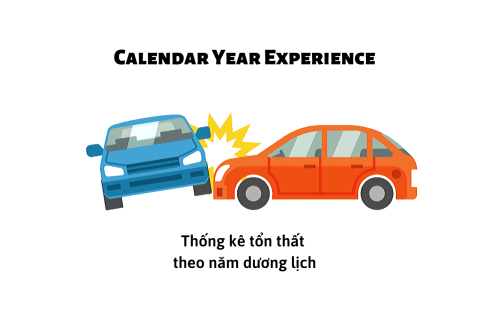 Thống kê tổn thất theo năm dương lịch (Calendar Year Experience) là gì?