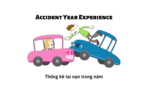 Thống kê tai nạn trong năm (Accident Year Experience) là gì?