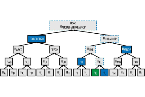 Cây Merkle (Merkle Tree) trong công nghệ chuỗi khối là gì? Nội dung về cây Merke