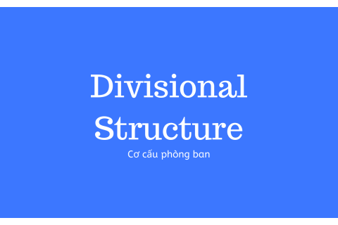 Cơ cấu phòng ban (Divisional Structure) là gì?