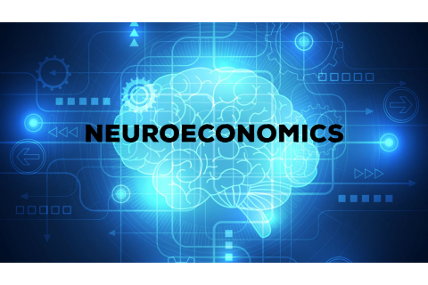 Kinh tế học thần kinh (Neuroeconomics) là gì? Các lĩnh vực nghiên cứu trong Kinh tế thần kinh học