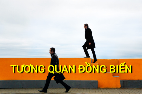 Tương quan đồng biến (Positive Correlation) là gì? Những đặc điểm cần lưu ý