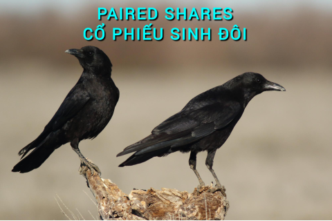 Cổ phiếu sinh đôi (Paired Shares) là gì? Những đặc điểm cần lưu ý