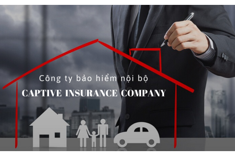 Công ty bảo hiểm nội bộ (Captive Insurance Company) là gì? Lí do thành lập