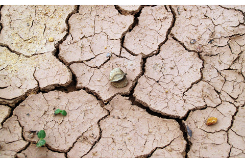 Suy giảm tài nguyên đất (Soil degradation) là gì? Nguyên nhân