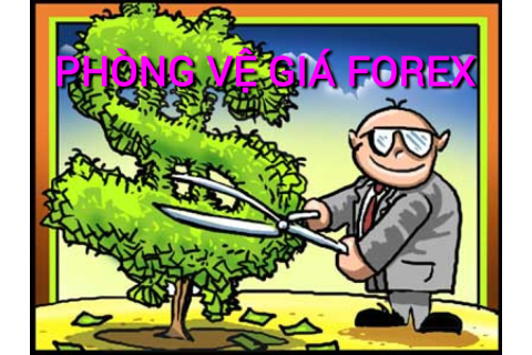 Phòng vệ giá forex (Forex Hedge) là gì? Những đặc điểm cần lưu ý