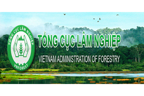 Tổng cục Lâm nghiệp (Vietnam Administration of Forestry - VNFOREST) là tổ chức gì?