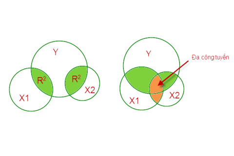 Đa cộng tuyến (Multicollinearity) trong mô hình hồi qui là gì? Hậu quả