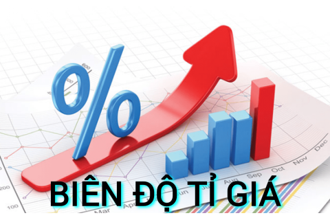 Biên độ tỷ giá (Currency Band) là gì? Những đặc điểm cần lưu ý