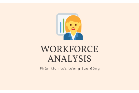 Phân tích lực lượng lao động (Workforce Analysis) là gì? Các bước phân tích lực lượng lao động