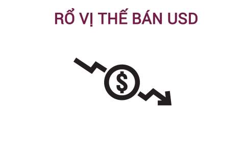 Rổ vị thế bán USD (Basket Of USD Shorts) là gì? Những đặc điểm cần lưu ý