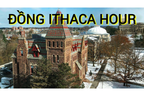 Đồng Ithaca HOUR là gì? Những đặc điểm cần lưu ý