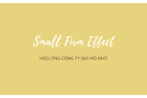 Hiệu ứng công ty qui mô nhỏ (Small Firm Effect) là gì? Nội dung về hiệu ứng công ty qui mô nhỏ