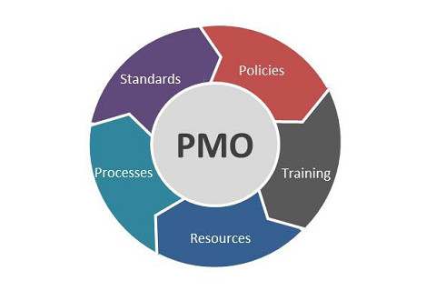 Văn phòng quản lí dự án (Project Management Office - PMO) là gì? Các dịch vụ