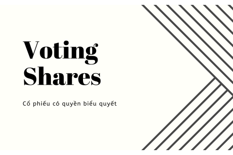 Cổ phiếu có quyền biểu quyết (Voting Shares) là gì?