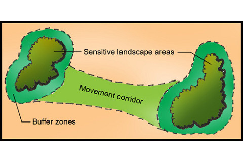 Vùng đệm (Buffer Zone) là gì? Tiêu chí xác định vùng đệm