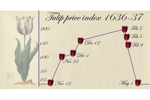 Hội chứng hoa tulip (Tulipmania) là gì?