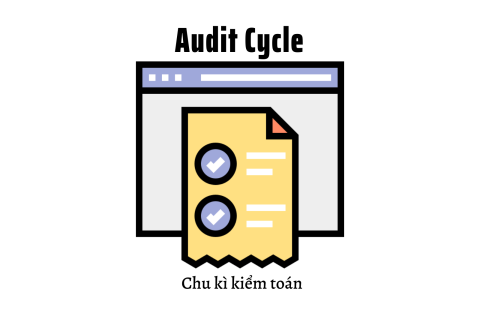 Chu kì kiểm toán (Audit Cycle) là gì? Các bước trong chu kì