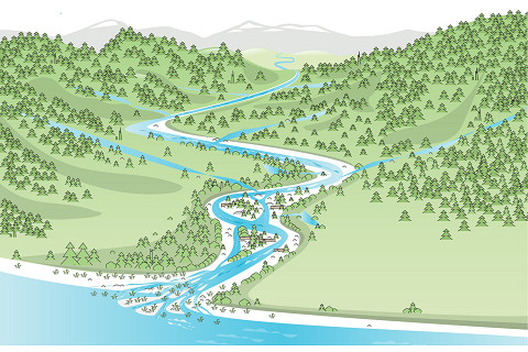 Lưu vực sông (Drainage Basin) là gì? Quản lí hoạt động ở lưu vực sông