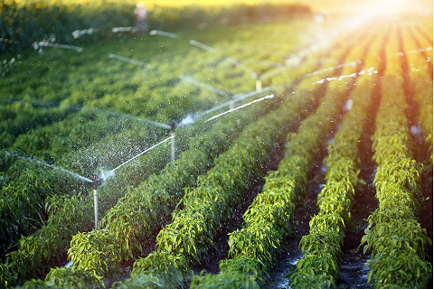 Thủy lợi (Irrigation) là gì? Nguyên tắc trong hoạt động thủy lợi