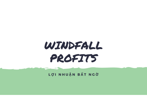 Lợi nhuận bất ngờ (Windfall Profits) là gì?