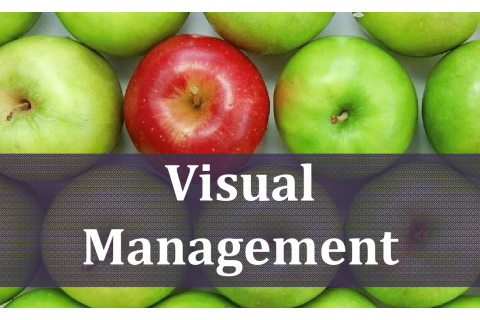 Quản lí trực quan (Visual Management) là gì? Các công cụ trực quan