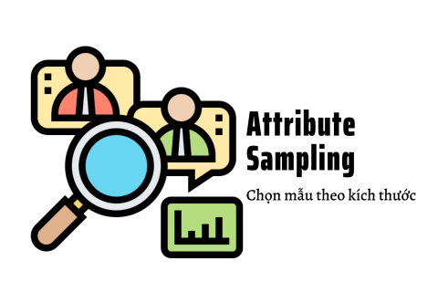 Chọn mẫu theo thuộc tính (Attribute Sampling) là gì? Sử dụng như thế nào?