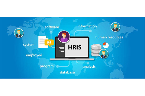 Hệ thống thông tin quản trị nhân lực (Human Resources Information System - HRIS) là gì? Chức năng