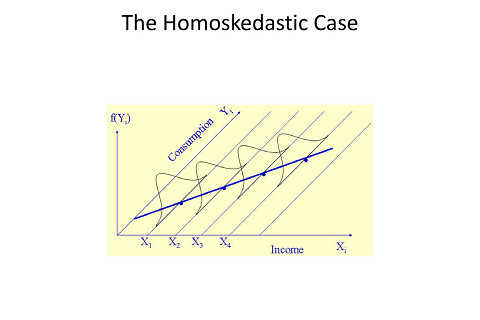 Phương sai đồng nhất (Homoskedastic) là gì? Ví dụ về Phương sai đồng nhất