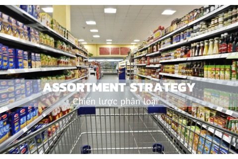 Chiến lược phân loại (Assortment Strategy) là gì?