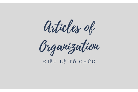 Điều lệ của tổ chức (Articles of Organization) là gì? Hiểu về Điều lệ của tổ chức