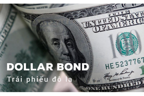 Trái phiếu đô la (Dollar Bond) là gì? Ví dụ thực tế về Trái phiếu đô la