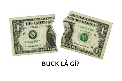 Buck là gì? Vỡ buck (Break the buck) xảy ra khi nào?