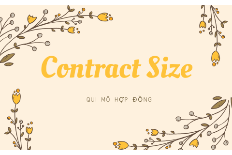 Qui mô hợp đồng (Contract Size) là gì? Hiểu về qui mô hợp đồng