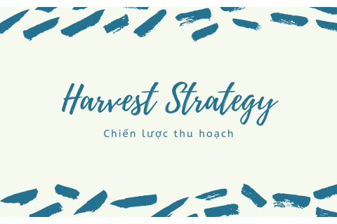 Chiến lược thu hoạch (Harvest Strategy) là gì?