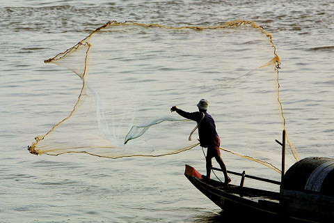 Tái tạo nguồn lợi thủy sản (Aquatic Resources Reproduction) là gì?