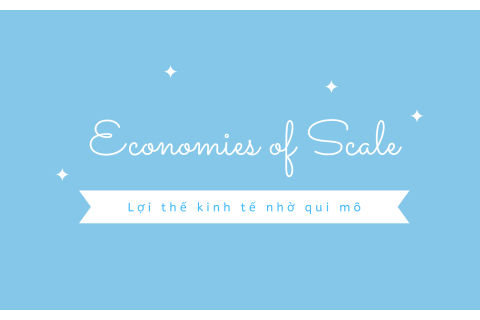 Lợi thế kinh tế nhờ qui mô (Economies of Scale) và hạn chế của lợi thế kinh tế nhờ qui mô