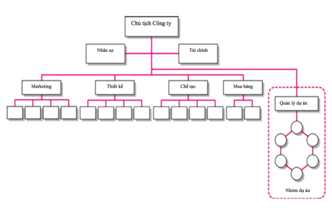 Cơ cấu dự án chuyên trách (Dedicated Project Team) là gì? Ưu điểm và hạn chế