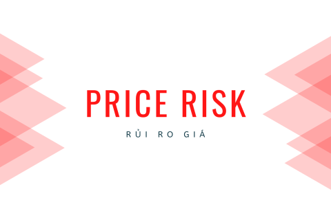 Rủi ro giá (Price Risk) là gì?