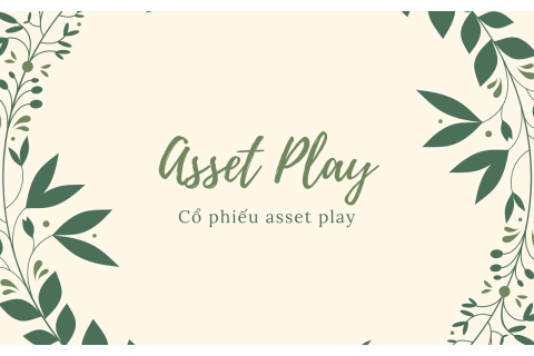 Cổ phiếu asset play (Asset Play) là gì? Nội dung về Cổ phiếu asset play