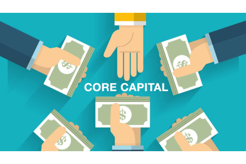 Vốn tự có (Core Capital) là gì? Đặc điểm của Vốn tự có