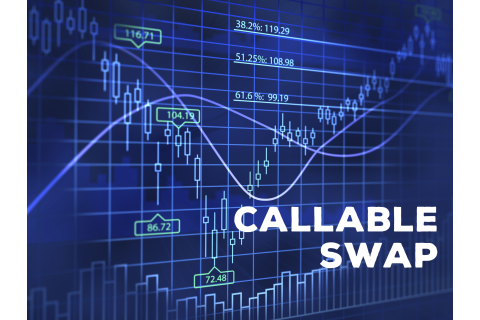 Hợp đồng hoán đổi có thể thu hồi (Callable Swap) là gì? Đặc điểm Hợp đồng hoán đổi có thể thu hồi