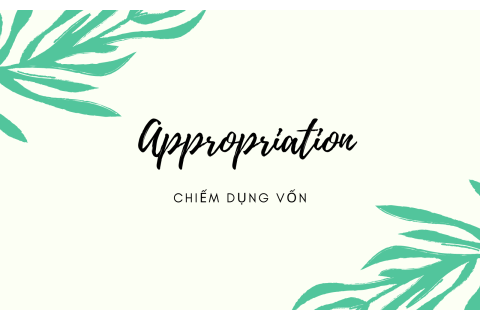 Chiếm dụng vốn (Appropriation) là gì? Ý nghĩa của chiếm dụng vốn