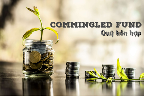 Quĩ hỗn hợp (Commingled Fund) là gì? Ưu và nhược điểm của quĩ hỗn hợp