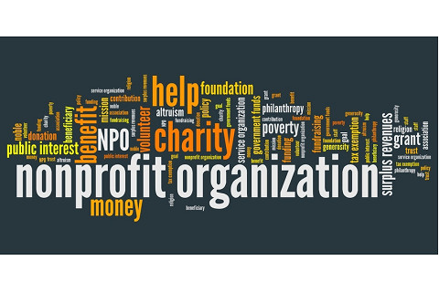 Tổ chức phi lợi nhuận (Nonprofit Organization - NPO) là gì? Đặc điểm của NPO