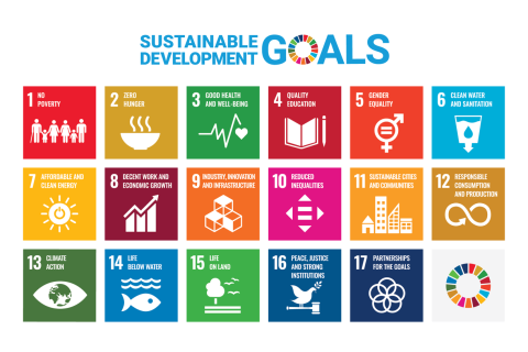 Các Mục tiêu Phát triển Bền vững (Sustainable Development Goals - SDGs) là gì?