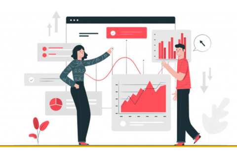 Phân phối tần suất (Frequency Distribution) là gì?