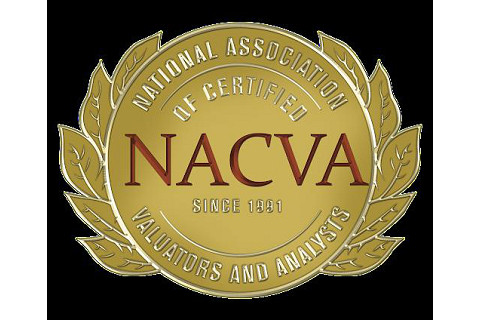 Hiệp hội Quốc gia về các nhà phân tích định giá được công nhận (National Association of Certified Valuation Analysts - NACVA) là gì?