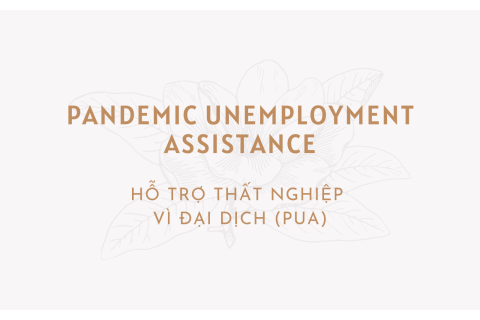 Hỗ trợ thất nghiệp vì đại dịch (Pandemic Unemployment Assistance - PUA) là gì?