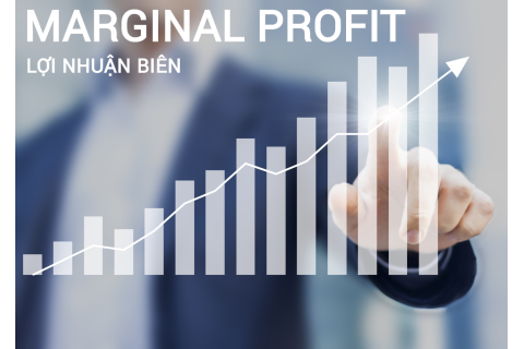 Lợi nhuận biên (Marginal Profit) là gì? Đặc điểm và công thức tính